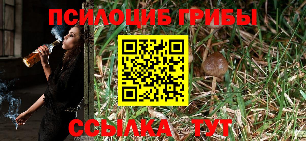 Брянск  Галлюциногенные грибы Psilocybe  Вход с VPN  Псилоцибиновые грибы Magic Shrooms 