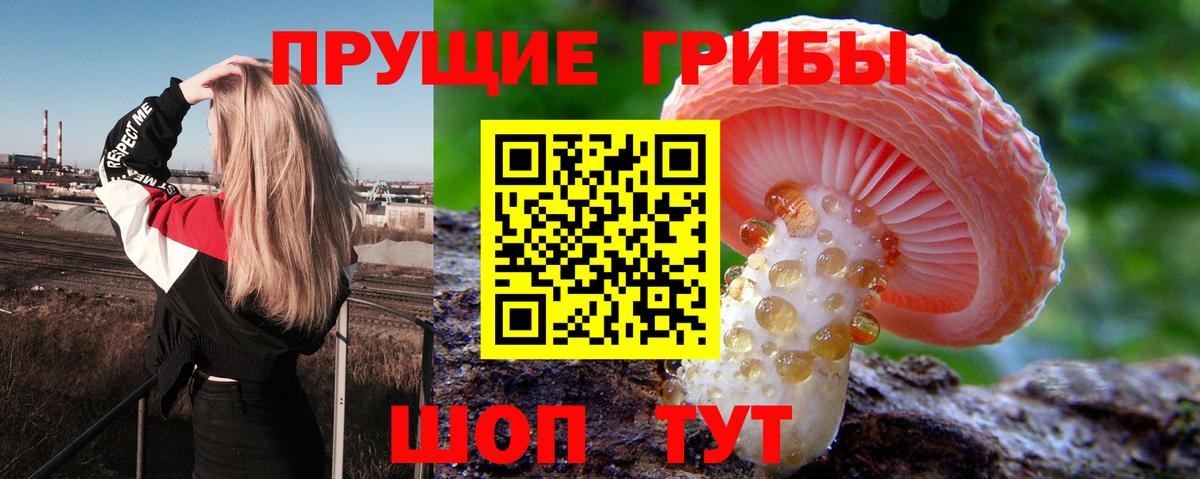 Галлюциногенные грибы мицелий Брянск